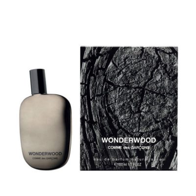 8411061707821-comme-des-garcons-wonderwood-edp-100-ml-niche-parfumerija-lana-zagreb